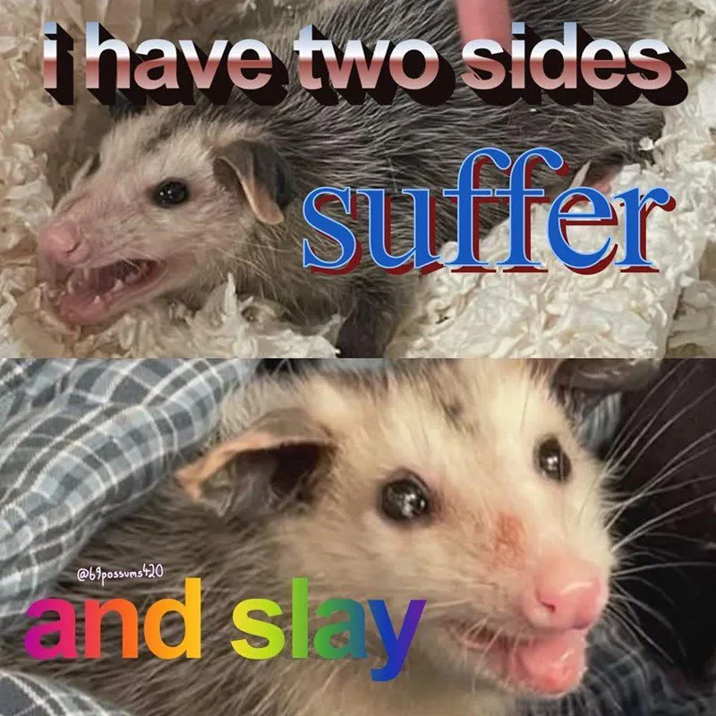 i-have-2-sides-opossum-haha.webp